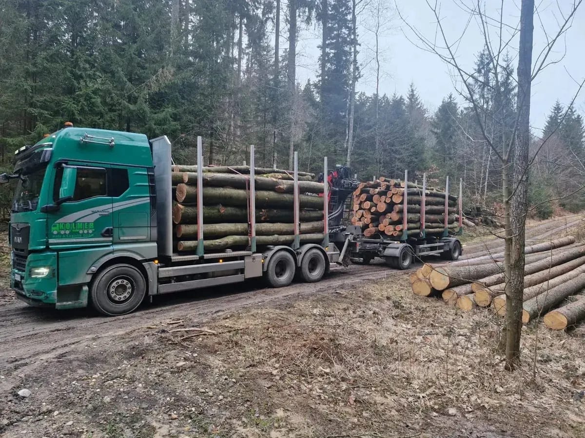 Kolmer-LKW mit Buchenstämmen für Brennholz am Waldweg