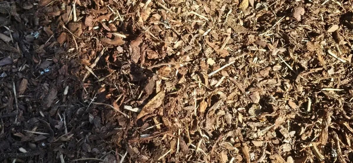 Rindenmulch aus zerkleinerter Baumrinde